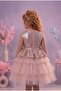 Birthday, Tulle Evening Dress Party Costume - 2