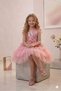Birthday, Tulle Evening Dress Party Costume - 3