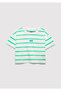 Logo Printed Green Striped Crop T-Shirt Loose Fit / Relaxed Comfortable Cut 7610182-88145 - 2