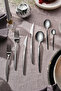 Elegance Celestia Platinum 84 Piece Cutlery Set for 12 People - 2