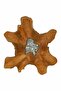 Coffee Table 70x45 cm Solid Teak Wood and Polyresin - 2