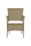 Garden Dining Chairs 2 pcs Poly Rattan Beige - 2
