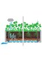 Garden Raised Bed with Trellis and Self Watering System Anthracite - 7