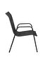 Garden Chairs 4 pcs Steel and Textilene Black - 4