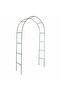 Garden Arch 2 pcs Climbing Plants - 2