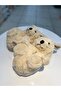 Special Quality Indoor Slippers with Animal Design - 3