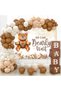 Teddy Bear Themed Baby Shower Set; Wooden Look Baby Box, Teddy Bear Foil and Retro Balloon Chain Set - 3