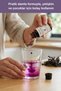 Sambucus Nigra Black Elderberry Pelargonium Echinacea Ginger Vitamin C Zinc 20 ml - 4