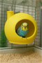 Bird Nest ※ Bird House ※ Green ※ Decorative House for Bird Cage and Habitat - 5