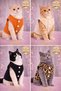Orange Plush Fleece Cat & Dog Vest Pet Outfit - 4