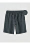 Gray Standard Fit Men's Shorts