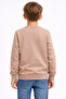 18604-26 Boy's Sweatshirt with Embossed Lettering, Cotton, Daily Comfortable Fit - 8