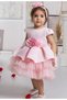 Baby Girl Tulle Dress - 2