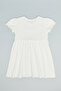 Embroidery Detail Flared Dress with Crew Neck and Puff Sleeves - 2