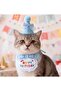 Cat/Dog Birthday Party Hat and Bib Set - 2