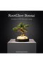 Rootglow Bonsai Ambient Lamp - Bonzai Zen Style Table and Night Ambient Lighting (USB Wired)