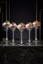 Set of 6 Silver Platinum Footed Ice Cream Bowls – Luxurious Glass Dessert, Magnolia, Ice Cream, and Presentation Bowls - 4