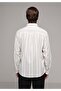 Regular Fit Shirt Neck Striped Men's Anthracite Long Sleeve Shirt - 2