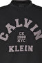 Ss 20S Ln Calvin College Graphic Men's Crew Neck T-Shirt Black - 3
