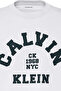 Ss 20S Ln Calvin College Graphic Men's Crew Neck T-Shirt White - 3