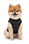 Black Sleeveless Cat Outfit Dog Outfit