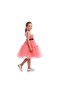 D' Daniela - Kids Bow Front Ruffle Hem Mesh Gown Dress - Pink -1Y to 13Y - 2
