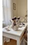 Decorative Makeup Brush Organizer with Angel Figure - 2