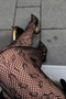 Black Leopard Patterned Fishnet Women's Pantyhose – Stylish and for Daily Use - 4