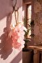Luxurious Looking Pink Grape Soap - Orange Scented Designer Soap - 3
