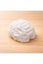 Plaster figurine 3D Brain - 3