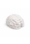 Plaster figurine 3D Brain