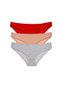 3 Pieces Eco Set Lycra Women's Slip Panties Red Skin Gray