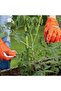 250M Strong Reusable GARDEN TWINE Horticultural Utility Polypropylene String Rope - 2