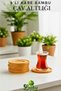 6 Pieces of Luxury Round Bamboo Coasters Tea Plate Coasters Cup Coasters Stylish Decor