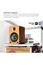 YU6 2-Way Speaker 100 W Brown Wireless and Wired - 6