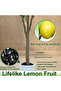 185cm Artificial Lemon Tree Indoor Outdoor Faux Lemon Plant with White Pot for Home Office Decor - 6