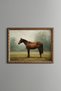 Pastoral Horse Composition - Vintage Patterned Frame - Slim Model