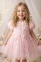 Baby Girl Dress Girls' Rose Tulle Princess Dress Bow Birthday Party Dress 1-5 Years - 5