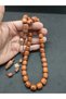 Halil Hilmi Masterpiece Rare Type Large Size Natural Camphor Tree - 4