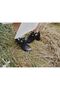 Botine Dama Elma Bluetoes