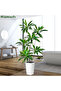 180cm Artificial Dracaena Tree, Fake Dracaena Tree with Tall White Planter for Office Home Decor - 6