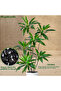 180cm Artificial Dracaena Tree, Fake Dracaena Tree with Tall White Planter for Office Home Decor - 5