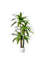 180cm Artificial Dracaena Tree, Fake Yucca Tree with White Planter for Home Office Room Decor Indoor