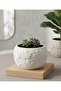 White Ceramic Pot with Raised Leaf Pattern Multipurpose Organiser