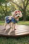 Cat-Dog 100% Cotton Muslin Summer Dress - Shirt - Gilet - T-Shirt - Clothing