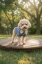Cat-Dog 100% Cotton Muslin Summer Dress - Shirt - Gilet - T-Shirt - Clothing - 7