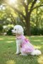 Cat-Dog 100% Cotton Muslin Summer Dress - Shirt - Gilet - T-Shirt - Clothing - 8