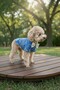 Cat-Dog 100% Cotton Muslin Summer Dress - Shirt - Gilet - T-Shirt - Clothing