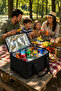 40 Liter Thermos Bag |   Insulated Suitable for Beach, Picnic, Camping and Daily Use - 3