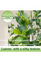 170cm Artificial Perfume Flower Trees Fake Tree with Natural Trunk for Indoor Outdoor Home Decor - 7